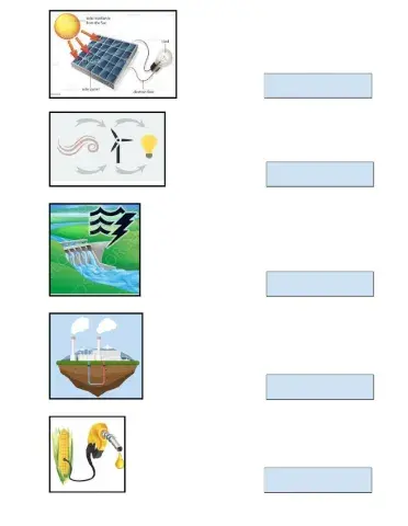 Renewable energy (Type)