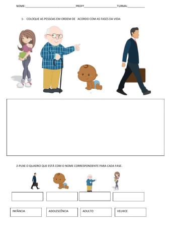 Fases da vida