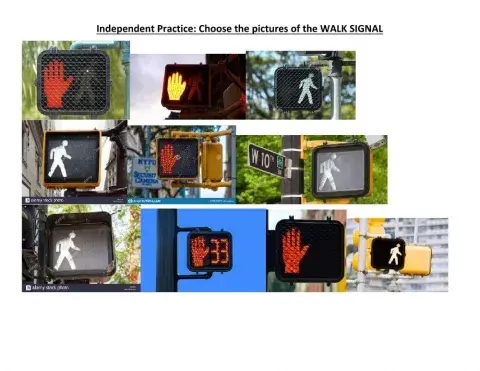 Independent practice walk signal supported group