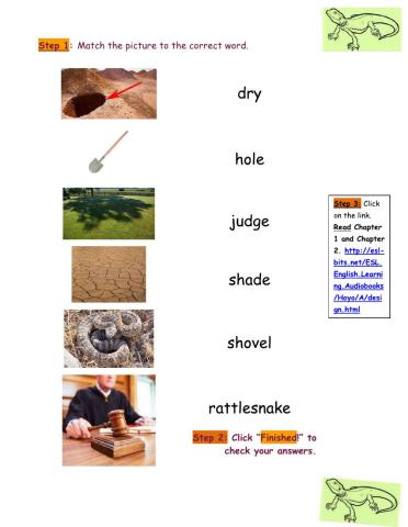 Holes Vocabulary Chapters 1-2