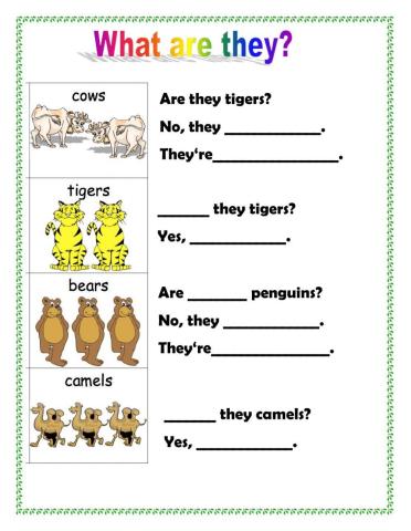 What is it? - what are they?