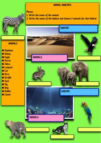 Animal Habitats