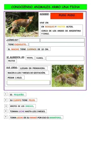 Ficha de animal