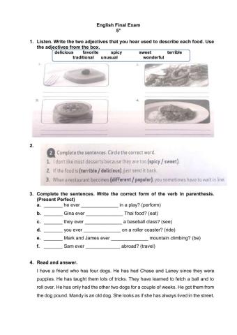 Present perfect and Passive voice