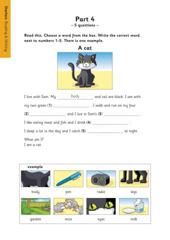 Reading-Writing 3rd grade