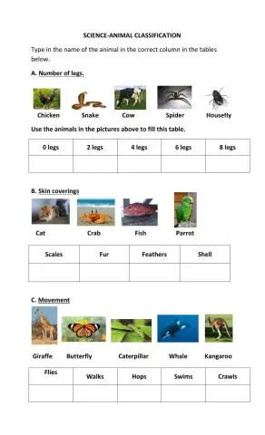 Animal Classification