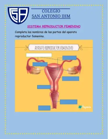SISTEMA REPRODUCTOR FEMENINO