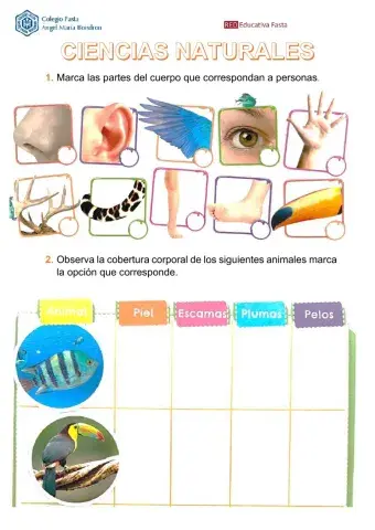Repaso Cs. Naturales