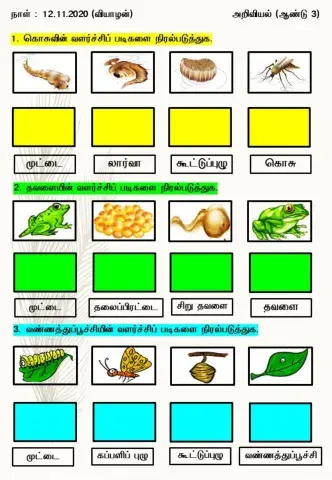 விலங்குகளின் வளர்ச்சி படிகள்