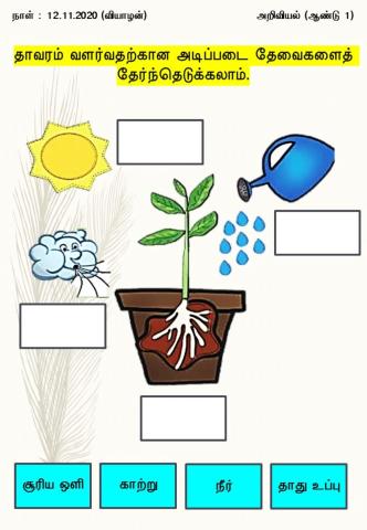 தாவரங்களின் அடிப்படைத் தேவைகள்