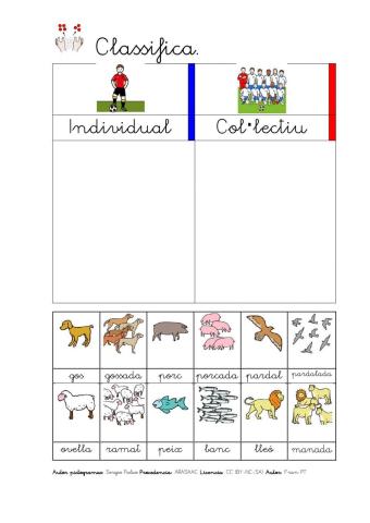 Substantius individuals i col·lectius. 1