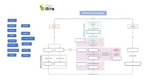Esquema (reproducció)