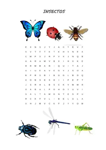 Sopa de letras insectos