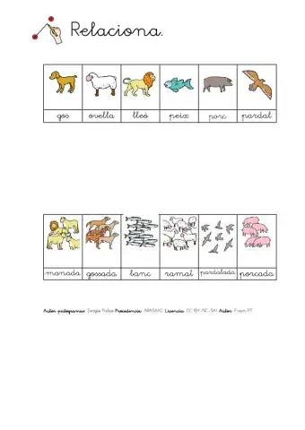 Relacionar substantius individuals i col·lectius. 1