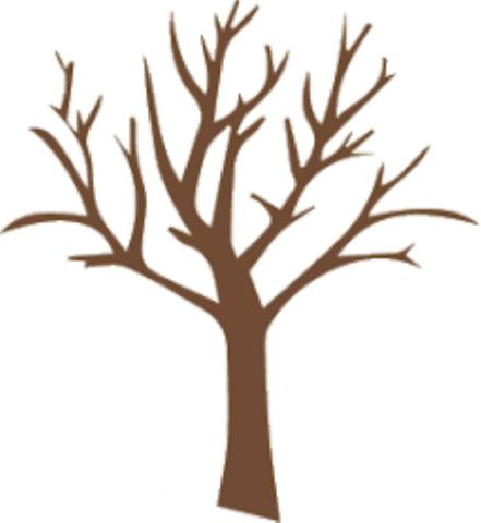 صفاتي الايجابية