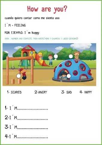 Feelings and emotions