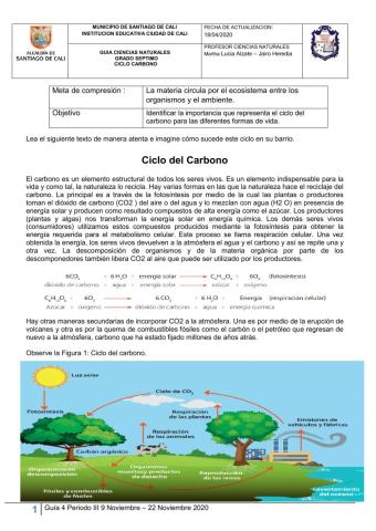 Ciclo del Carbono