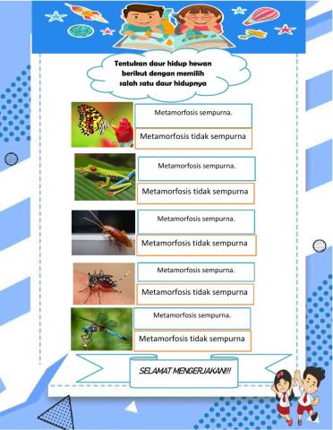 Daur hidup hewan sempurna dan tidak sempurna