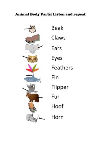 Animal Body parts