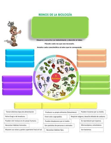 Cinco reinos de la biologia