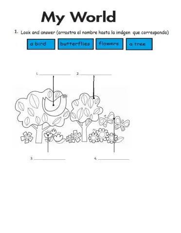 Actividad valorativa verb to be
