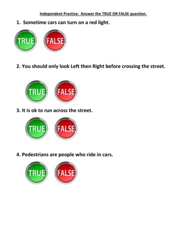 Crossing the street supported group