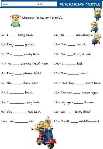 DESCRIBING WITH TO BE AND TO HAVE 