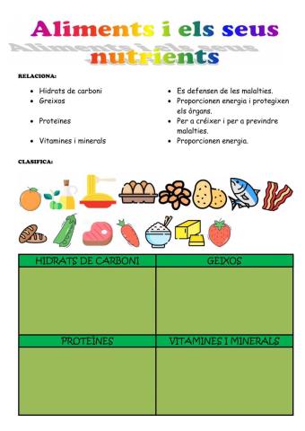 Aliments i nutrients