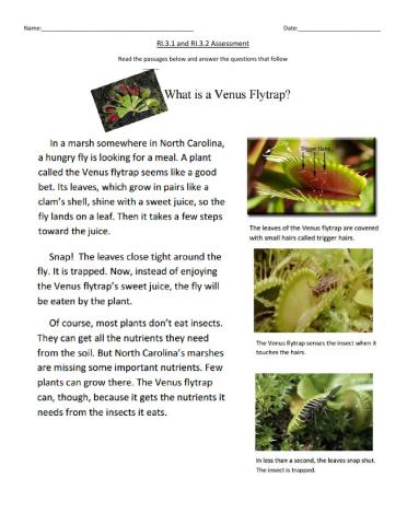 Ask and answer questions assessment