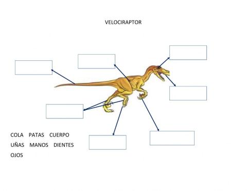Ficha de dinosaurio