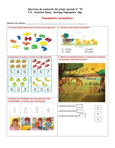 Pensamiento matemático