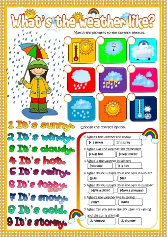 What-s the weather like?