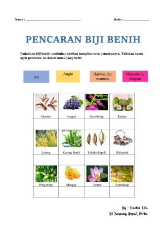 Kuiz Pencaran Biji Benih