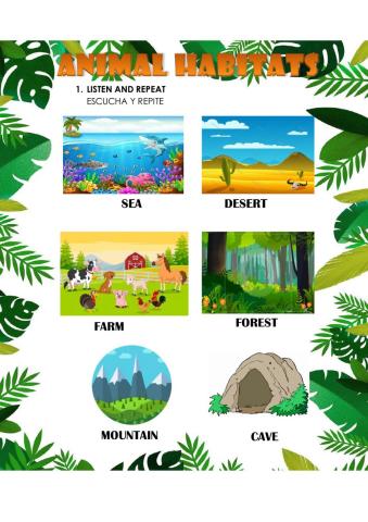 Animal Habitats