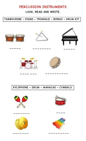 Percussion Instruments