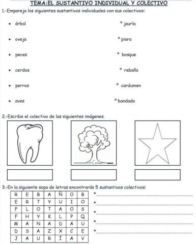 Sustantivos Individuales y Colectivos