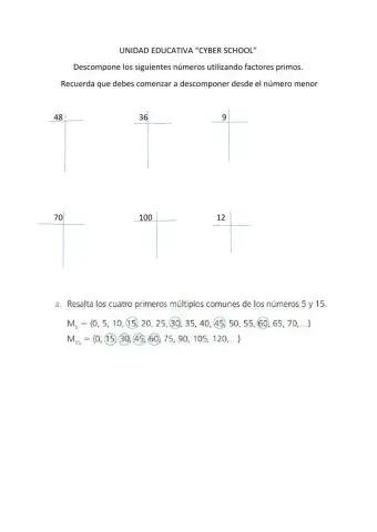 Descomposición de factores primos