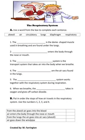 Respiratory System