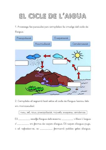 El cicle de l'aigua