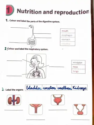 Nutrition and reproduction
