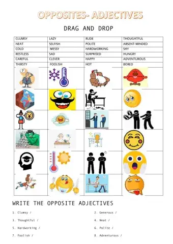 Adjectives