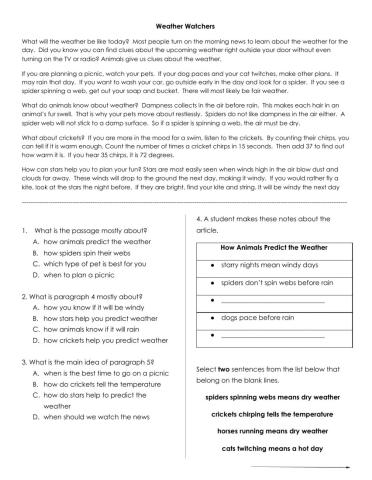 Main Idea Graded Assignment