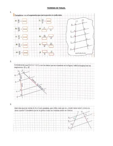 Teorema de thales