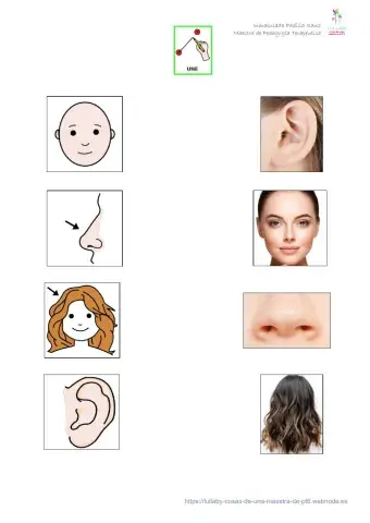 Foto real-picto cara