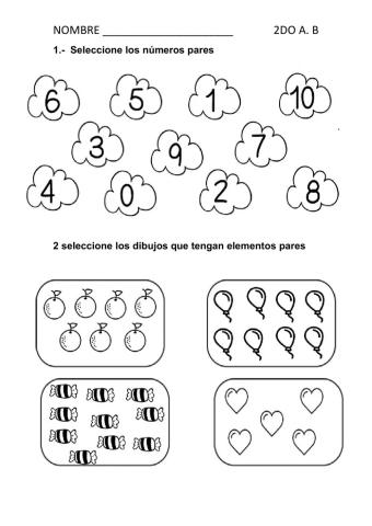 Actividad de números pares