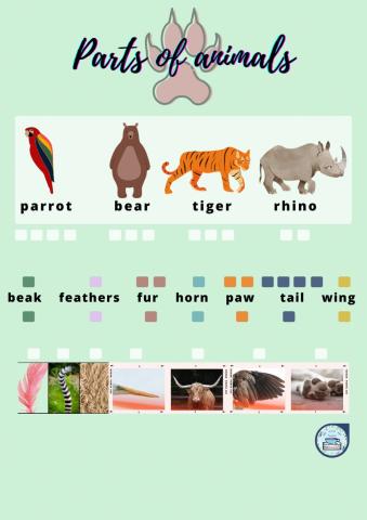 Animal parts