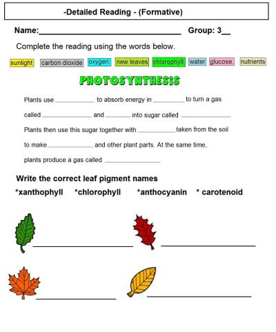 Photosynthesis