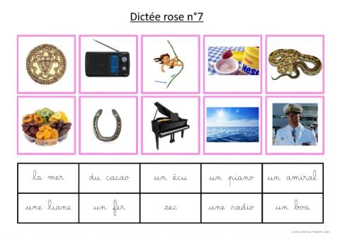 Dictée rose 7