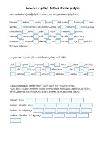 Kamienas ir galūnė. Galūnės skyrimo pratybos.