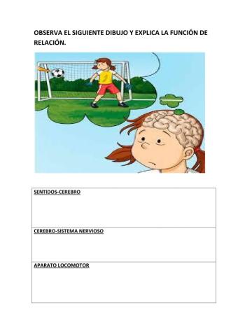 La función de relación